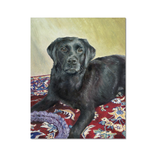 Black Labrador Retriever Rosie playing Fine Art Print