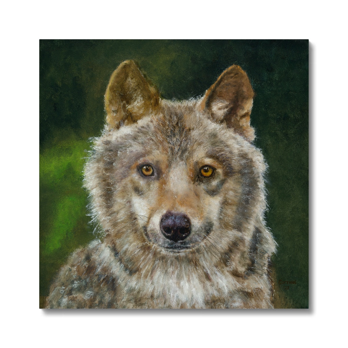 Wolfdog Canvas