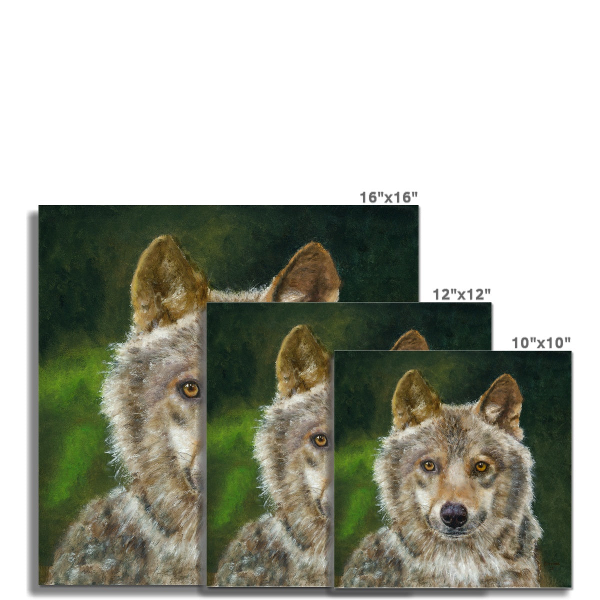 Wolfdog Fine Art Print