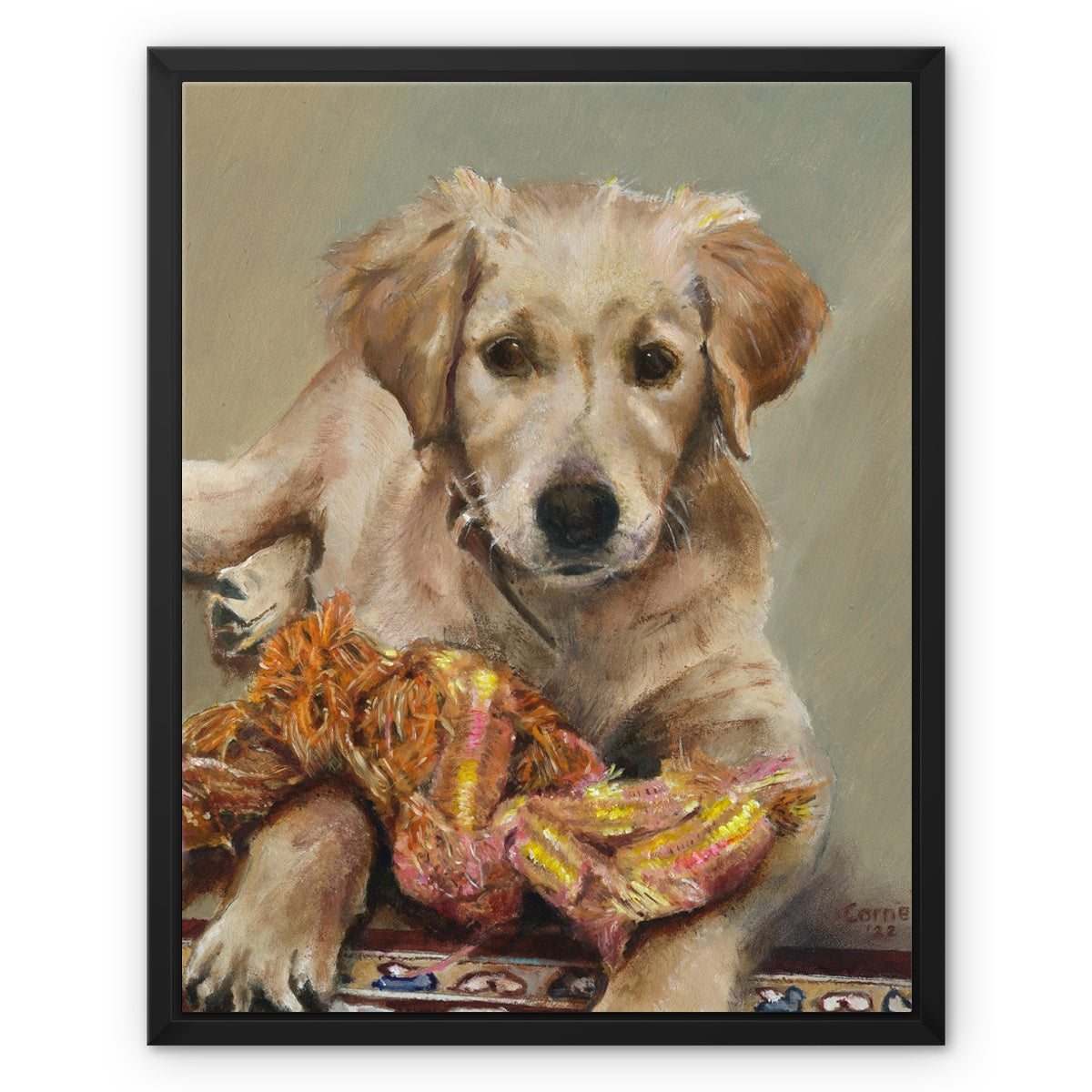 Golden Retriever Evie playing Framed Canvas