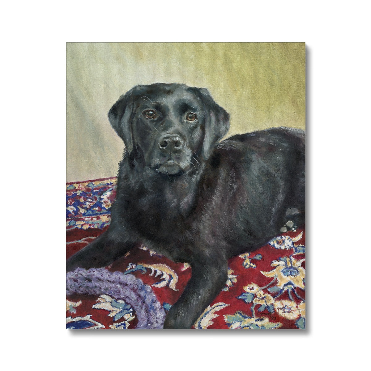 Black Labrador Retriever Rosie playing Canvas