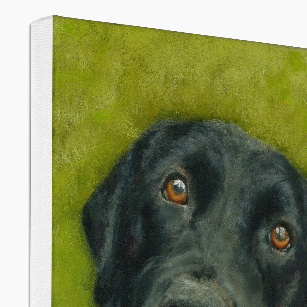 Black Labrador Retriever Saar Canvas