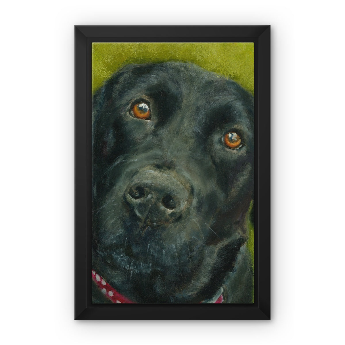 Black Labrador Retriever Saar Framed Canvas