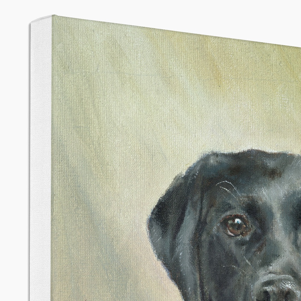 Black Labrador Retriever Rosie playing Canvas