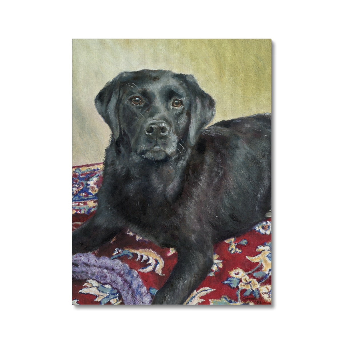 Black Labrador Retriever Rosie playing Canvas